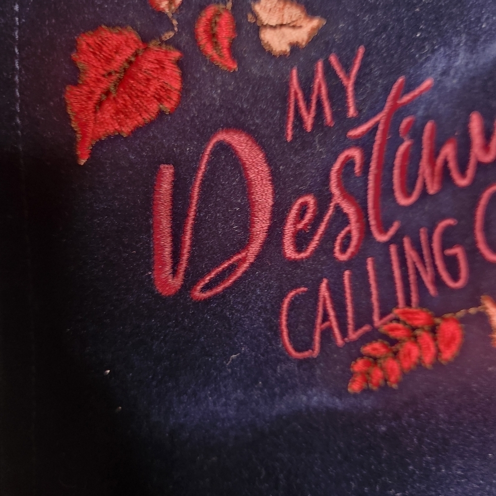 FROZEN 2 EMBROIDERED JACKET toddler - Picture 3 of 8
